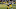 Dec 11, 2016; Green Bay, WI, USA; Green Bay Packers wide receiver Jordy Nelson (87) spikes the football with wide receiver Randall Cobb (18) after scoring a touchdown in the second quarter during the game against the Seattle Seahawks at Lambeau Field. Mandatory Credit: Benny Sieu-USA TODAY Sports Dec 11, 2016; Green Bay, WI, USA; Green Bay Packers wide receiver Jordy Nelson (87) spikes the football with wide receiver Randall Cobb (18) after scoring a touchdown in the second quarter during the game against the Seattle Seahawks at Lambeau Field. Mandatory Credit: Benny Sieu-USA TODAY Sports