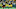 Green Bay Packers, Allen Lazard Green Bay Packers, Allen Lazard