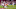 Atlanta Falcons (Photo by Thearon W. Henderson/Getty Images) Atlanta Falcons (Photo by Thearon W. Henderson/Getty Images)