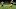Green Bay Packers, Davante Adams Green Bay Packers, Davante Adams