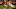 Green Bay Packers Green Bay Packers