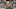 GREEN BAY, WI – AUGUST 16: Head coach Mike McCarthy of the Green Bay Packers watches action during a preseason game against the Pittsburgh Steelers at Lambeau Field on August 16, 2018 in Green Bay, Wisconsin. (Photo by Stacy Revere/Getty Images) GREEN BAY, WI – AUGUST 16: Head coach Mike McCarthy of the Green Bay Packers watches action during a preseason game against the Pittsburgh Steelers at Lambeau Field on August 16, 2018 in Green Bay, Wisconsin. (Photo by Stacy Revere/Getty Images)