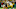 Green Bay Packers, Reggie Gilbert, Kyler Fackrell Green Bay Packers, Reggie Gilbert, Kyler Fackrell