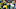 Green Bay Packers, Aaron Rodgers