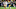Green Bay Packers Green Bay Packers