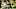 Green Bay Packers, Mason Crosby Green Bay Packers, Mason Crosby