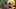 Green Bay Packers, Aaron Rodgers Green Bay Packers, Aaron Rodgers