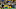Green Bay Packers Green Bay Packers