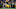 Green Bay Packers Green Bay Packers
