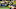 Green Bay Packers Green Bay Packers