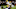 Green Bay Packers Green Bay Packers