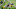 Green Bay Packers, Rashan Gary, Kenny Clark Green Bay Packers, Rashan Gary, Kenny Clark