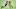 Green Bay Packers, Davante Adams Green Bay Packers, Davante Adams