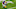 Green Bay Packers, Marquez Valdes-Scantling Green Bay Packers, Marquez Valdes-Scantling