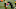 Green Bay Packers, Rashan Gary Green Bay Packers, Rashan Gary