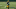 Green Bay Packers, Kenny Clark Green Bay Packers, Kenny Clark