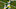 Green Bay Packers, Stanford Samuels, Josh Jackson Green Bay Packers, Stanford Samuels, Josh Jackson