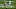 Green Bay Packers, Aaron Jones Green Bay Packers, Aaron Jones