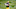 Green Bay Packers, Robert Tonyan Green Bay Packers, Robert Tonyan
