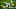 Green Bay Packers, Jaire Alexander Green Bay Packers, Jaire Alexander