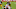 Green Bay Packers, Oren Burks
