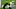 Green Bay Packers Green Bay Packers