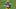 Green Bay Packers, AJ Dillon Green Bay Packers, AJ Dillon
