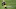 Green Bay Packers, Davante Adams Green Bay Packers, Davante Adams