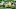 Green Bay Packers Green Bay Packers