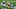 Green Bay Packers, Davante Adams Green Bay Packers, Davante Adams
