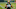 Green Bay Packers, David Bakhtiari Green Bay Packers, David Bakhtiari