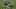 Aaron Jones, Tre Boston (Photo by Dylan Buell/Getty Images) Aaron Jones, Tre Boston (Photo by Dylan Buell/Getty Images)