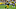 Green Bay Packers Green Bay Packers