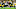 Green Bay Packers Green Bay Packers