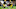 Green Bay Packers Green Bay Packers