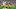 Green Bay Packers