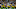 Green Bay Packers Green Bay Packers