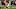 Green Bay Packers, Corey Bojorquez Green Bay Packers, Corey Bojorquez