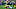 Green Bay Packers Green Bay Packers