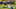 GREEN BAY, WI – NOVEMBER 06: Tavon Wilson #32 of the Detroit Lions tackles Trevor Davis #11 of the Green Bay Packers in the first quarter at Lambeau Field on November 6, 2017 in Green Bay, Wisconsin. (Photo by Stacy Revere/Getty Images) GREEN BAY, WI – NOVEMBER 06: Tavon Wilson #32 of the Detroit Lions tackles Trevor Davis #11 of the Green Bay Packers in the first quarter at Lambeau Field on November 6, 2017 in Green Bay, Wisconsin. (Photo by Stacy Revere/Getty Images)