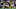 ARLINGTON, TX – OCTOBER 08: Aaron Jones ARLINGTON, TX – OCTOBER 08: Aaron Jones