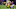 MINNEAPOLIS, MN – OCTOBER 15: Jordy Nelson MINNEAPOLIS, MN – OCTOBER 15: Jordy Nelson