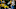 GREEN BAY, WI – NOVEMBER 06: Morgan Burnett GREEN BAY, WI – NOVEMBER 06: Morgan Burnett