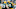 GREEN BAY, WI – NOVEMBER 15: Richard Rodgers GREEN BAY, WI – NOVEMBER 15: Richard Rodgers