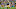 Green Bay Packers, Dean Lowry Green Bay Packers, Dean Lowry