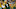 GREEN BAY, WI – DECEMBER 03: Brett Hundley GREEN BAY, WI – DECEMBER 03: Brett Hundley