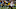GREEN BAY, WI – DECEMBER 03: Aaron Jones GREEN BAY, WI – DECEMBER 03: Aaron Jones