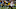 GREEN BAY, WI – DECEMBER 03: Aaron Jones GREEN BAY, WI – DECEMBER 03: Aaron Jones