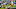 CHARLOTTE, NC – DECEMBER 17: Randall Cobb CHARLOTTE, NC – DECEMBER 17: Randall Cobb