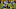 GREEN BAY, WI – NOVEMBER 06: Dwayne Washington GREEN BAY, WI – NOVEMBER 06: Dwayne Washington